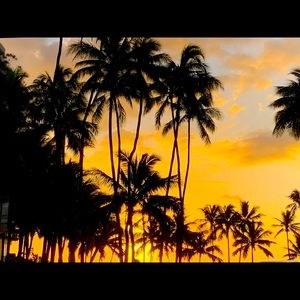 Meet your Posher, Jeanette